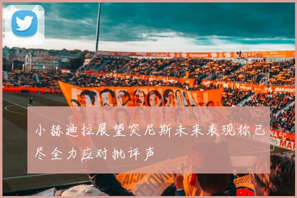 小赫迪拉展望突尼斯未来表现称已尽全力应对批评声